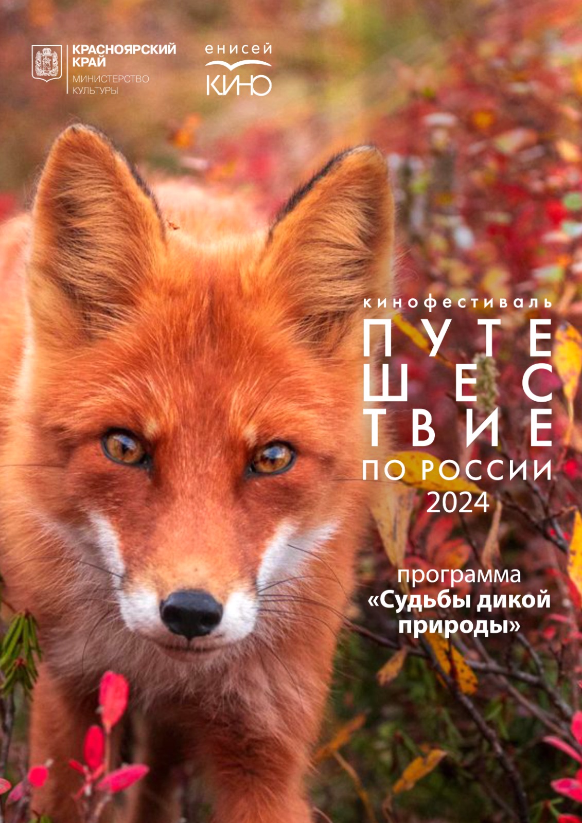 Кинофестиваль «Путешествие по России»